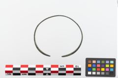 Foto von Bronzearmreif (NHMW-PRAE-023702)